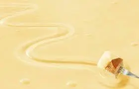 Fondue Gerber Moitie-Moitie 800g 2 Gerber Fondue 1