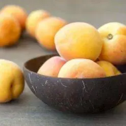 Mono coconut bowls 08 scaled