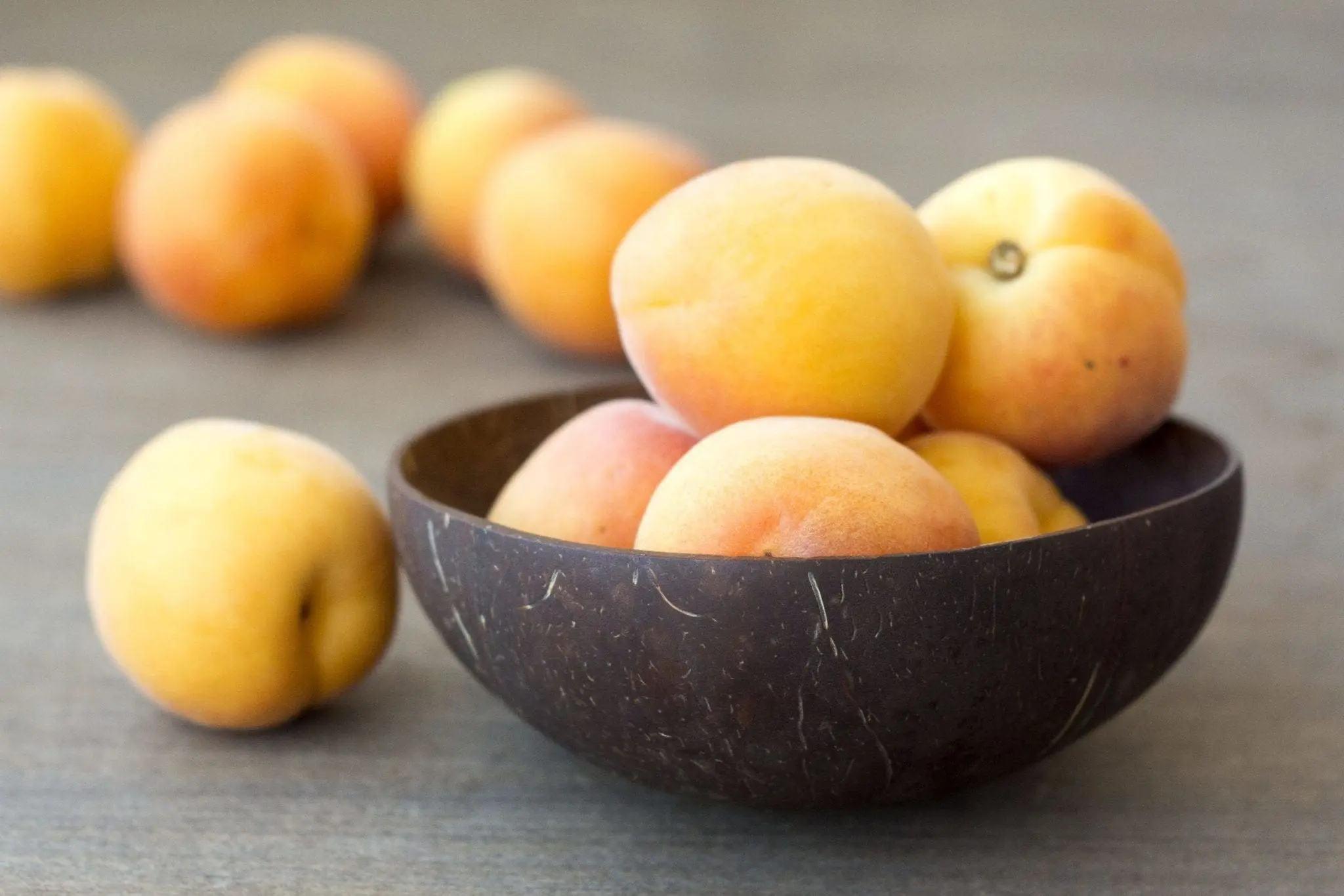 ナチュラル・ココナッツ・フード・ボウル 1 Mono coconut bowls 08 scaled