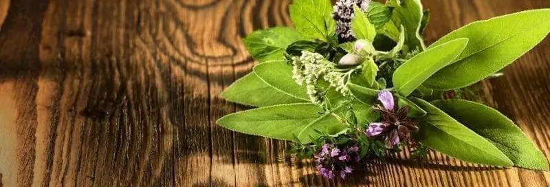 Swiss Made Direct Shop 46 Entdecken Sie die Mischung aus 13 bezaubernden Kräutern in einem einzigen Ricola Tropfen