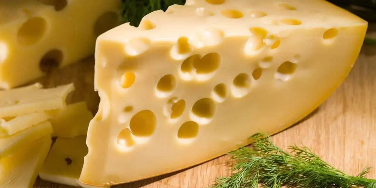 Explorando el mundo del queso suizo: Tipos, proceso de elaboración y mucho más 4 queso suizo