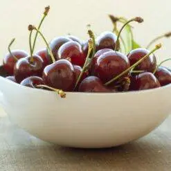 Mono coconut bowls 09 scaled