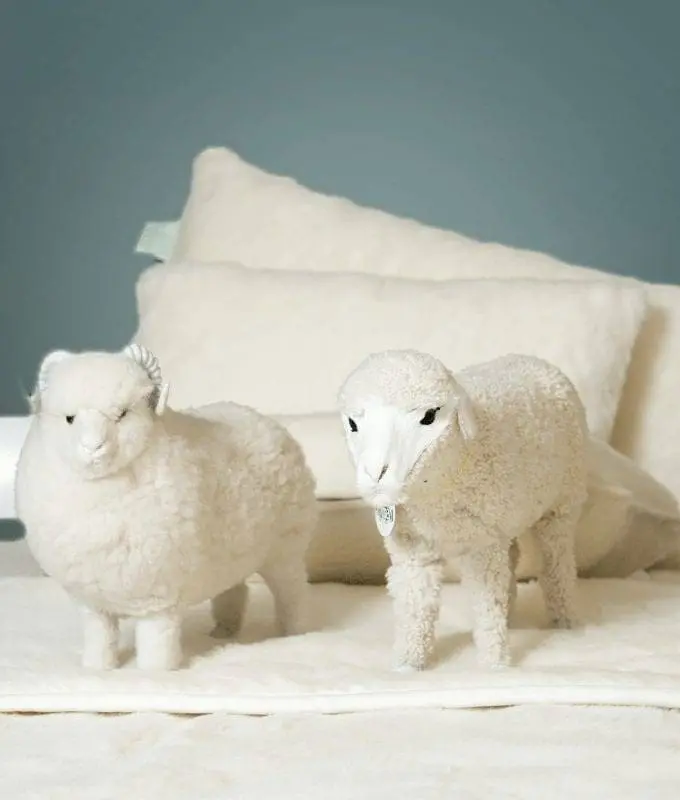 Merino Wool Pillow | Wollbetten