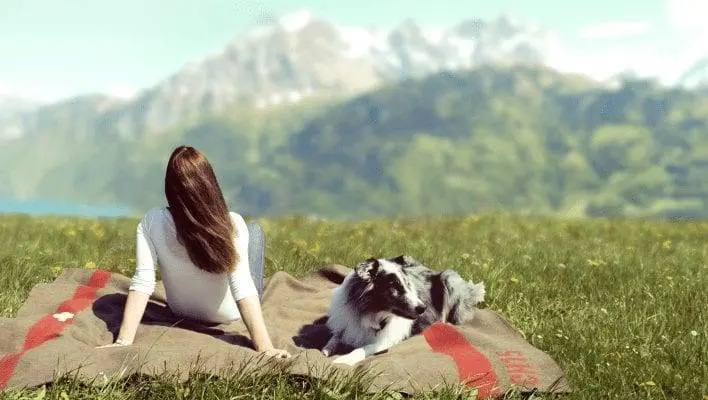 オリジナル・スイスアーミー・ブランケット - 一生ものの投資 2 オリジナル・スイス・アーミー・ブランケット