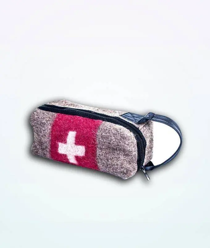 12 Best Swiss Backpacks and Bags to Shop in 2023 6 Swiss Army Necessair Bag