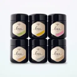 Famille d'abeilles Set de 6