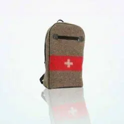 Swiss Army backpack