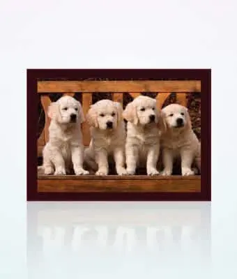 Hunde Puzzle Papierhandwerk