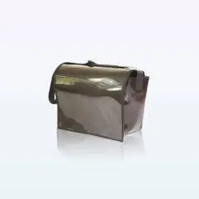 Bolsa de estudiante de carbono estándar