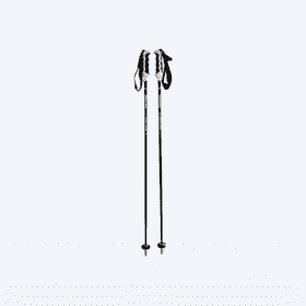 Bastones de esquí Swiss Massiv Negro Blanco