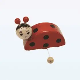 Ladybug