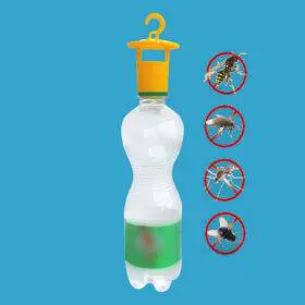 Wasp Fruit fly trap