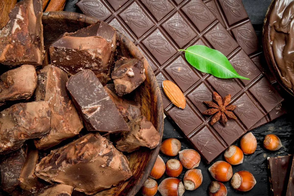 Il miglior cioccolato vegano - La via svizzera 1 il miglior cioccolato vegano