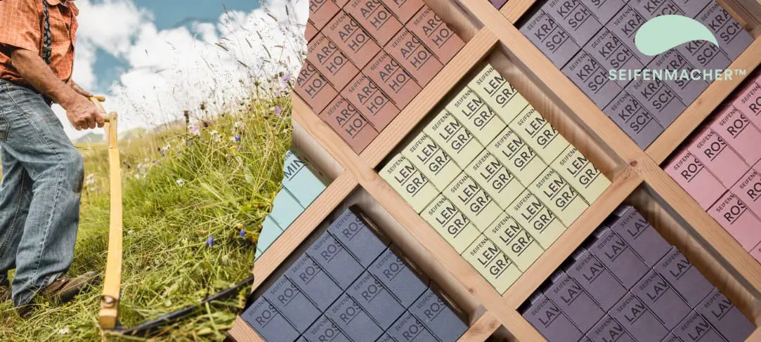 सीफेनमाकर 1 बैनर ब्रांड पेज seifenmacher