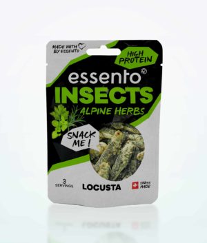 insect-snack