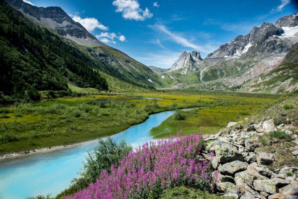 swiss-summer
